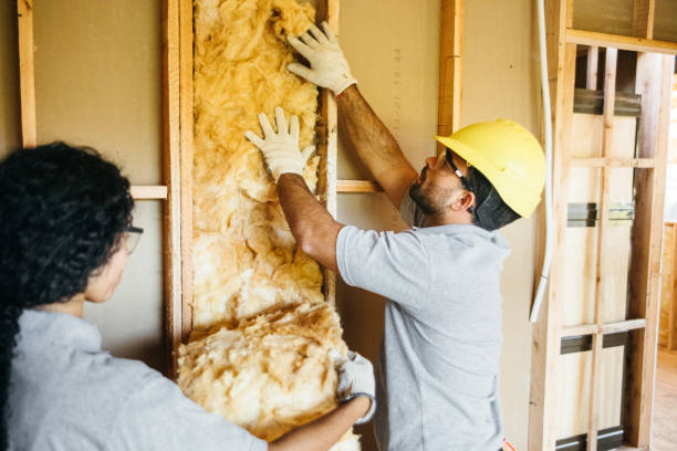 Professional Insulation in Winchester, NV